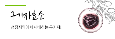 구기자효소