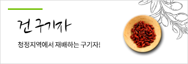 건 구기자